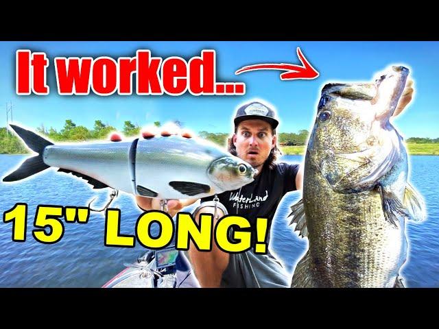 The WORLD'S BIGGEST Shad Swimbait is the ONLY Bait Giant Fish would Eat?! (15 Inch Fishing Lure)