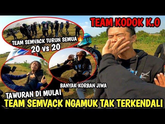 TEAM SEMVACK NGAMUK TAK TERKENDALI‼️HAJAR TEAM KODOK SAMPE K.O‼️