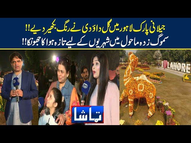 Jilani  Park Lahore Main Gul-E-Daudi  Nay Rang bakhair Diya!! | Tamasha | 09-Dec-2021