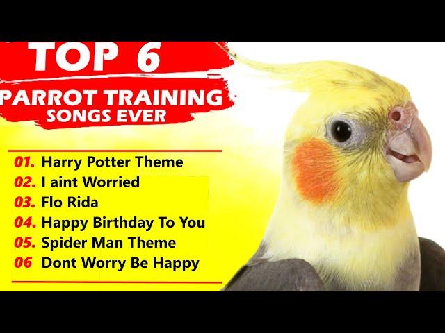 Cockatiel Singing 6 Song Training-For Budgies Parrots Birds