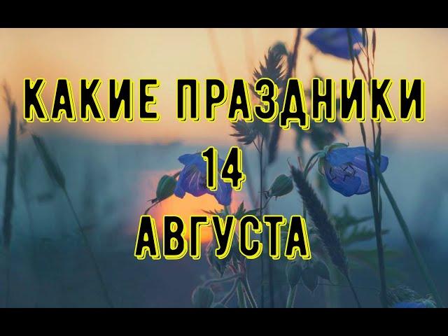 какой сегодня праздник? \ 14 августа \ праздник каждый день \ праздник к нам приходит \ есть повод