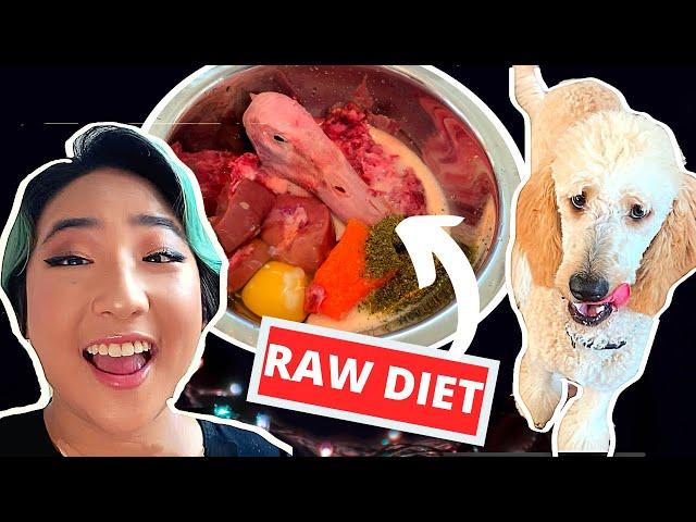 How I Feed My Puppy Raw Meat! // Raw Food For Dogs (BARF DIET)