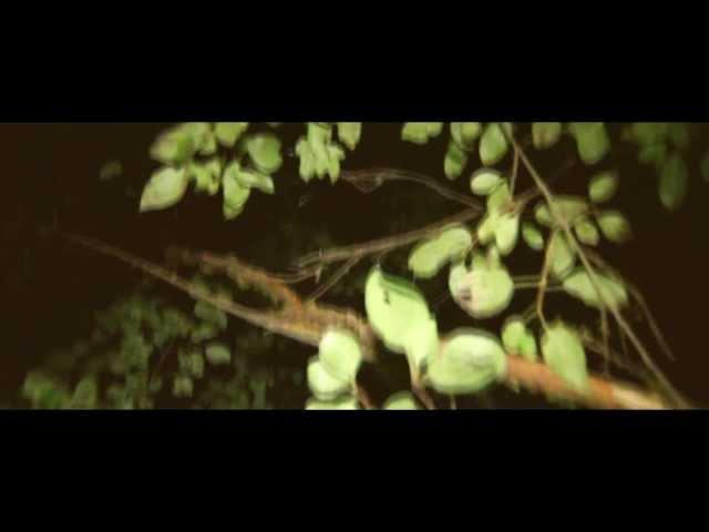 eRRdeKa x Janisis - BUNTES TREIBEN (Official HD Video)