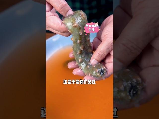 手拉海参