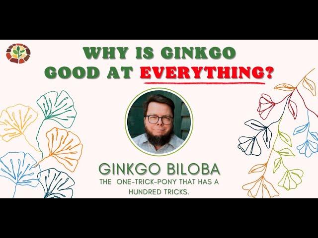 Why is Gingko SO GOOD for everything?