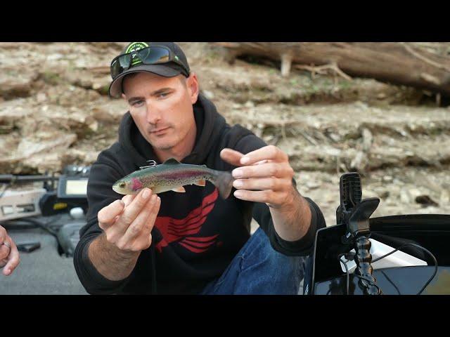 Savage Gear® RTF Pulsetail Trout Swimbait