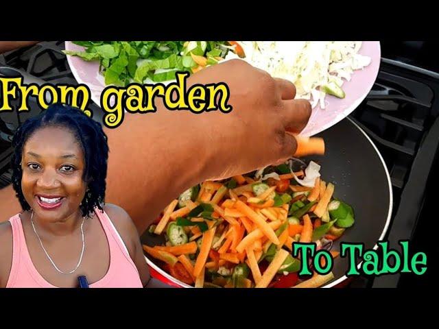 From Garden To Plate ||Harvest and Cook Fresh Organic Vegetables From My Backyard Container Garden