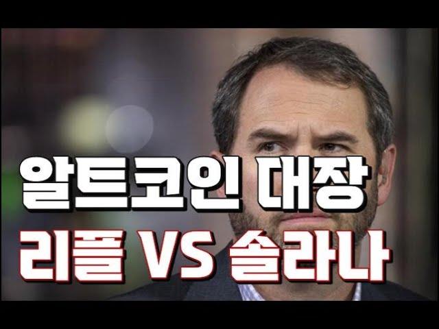 1대장 알트코인 리플 VS 솔라나 #xrp