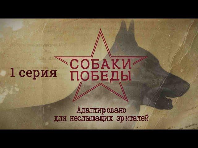 Видеоуроки "СОБАКИ ПОБЕДЫ" для глухих и слабослышащих детей и взрослых (РЖЯ, субтитры) | 1 серия