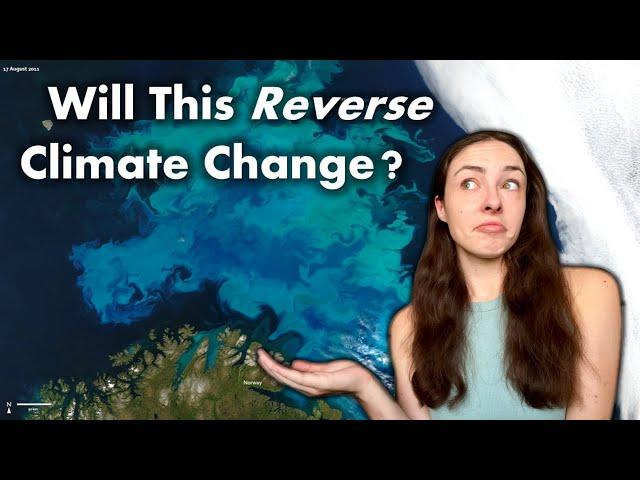 The Ocean Fertilization Plan & Its Potential Consequences | GEO GIRL