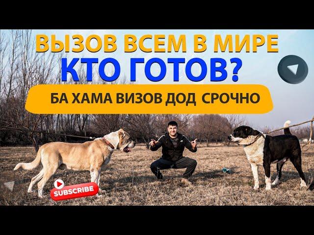 БА ХАМА ВИЗОВ КИ КАБУЛ МЕКНА МО ТАЕР  ВСЕМ МИРЕ ВЫЗОВ КТО ГОТОВ?