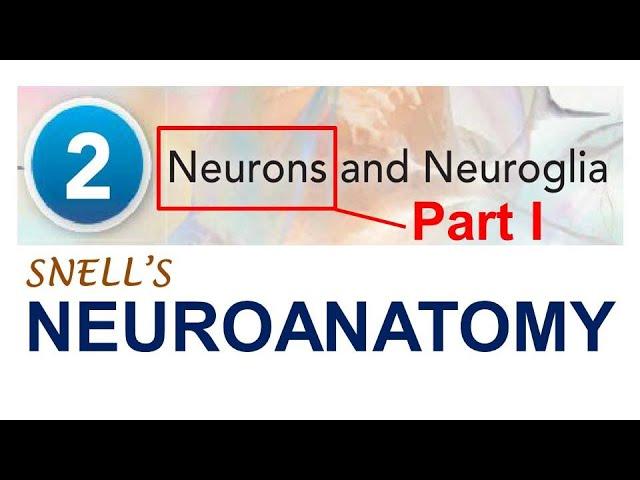 (Chp#2A)  Structure and Types of Neuron | NeuroAnatomy Chp2 PartA | Snell's NeuroAnatomy
