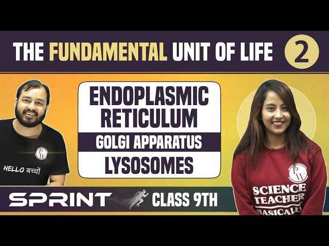 The Fundamental Unit of Life 02 | Endoplasmic Reticulum | Golgi Apparatus | Lysosomes | NCERT