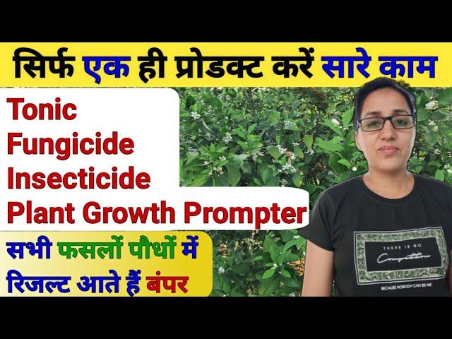 एक ही Organic product 4in1काम करे | Stabilized orthosilicic acid | Insecticide/plant growth primoter