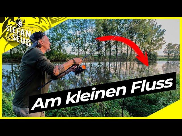 KARPFEN am kleinen FLUSS | Absturz ins Bieber-Loch!