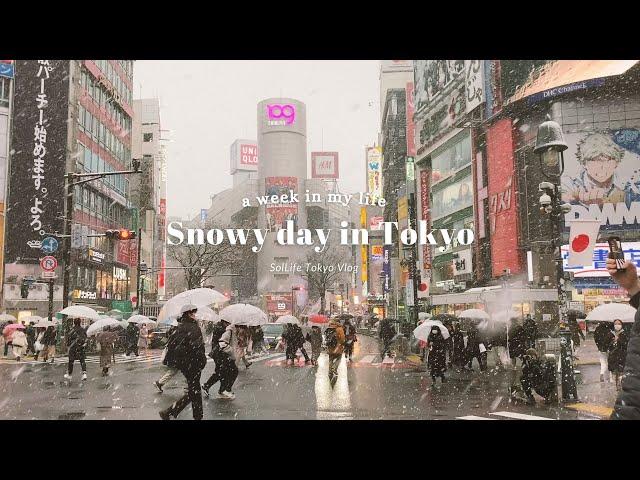 Snow day in Tokyo | winter in Japan, cafe hopping, cozy week | Tokyo Vlog