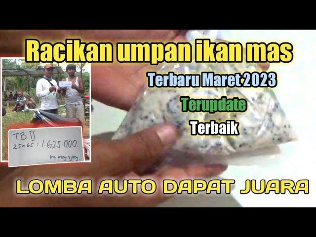 Racikan umpan ikan mas terbaru || ter update Maret 2023 Auto dapat juara