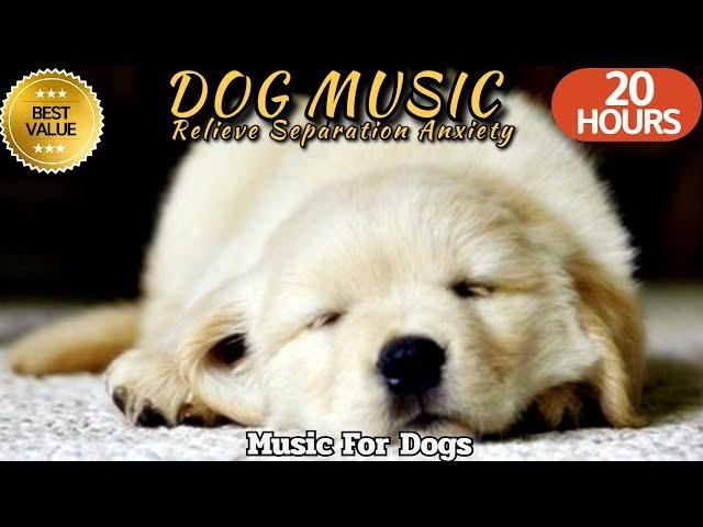 20 HOURS of Deep Sleep Dog MusicSeparation Anxiety Music For DogDog Relaxing musichealingmate