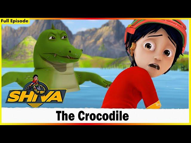 Shiva | The Crocodile | Full Episode 44