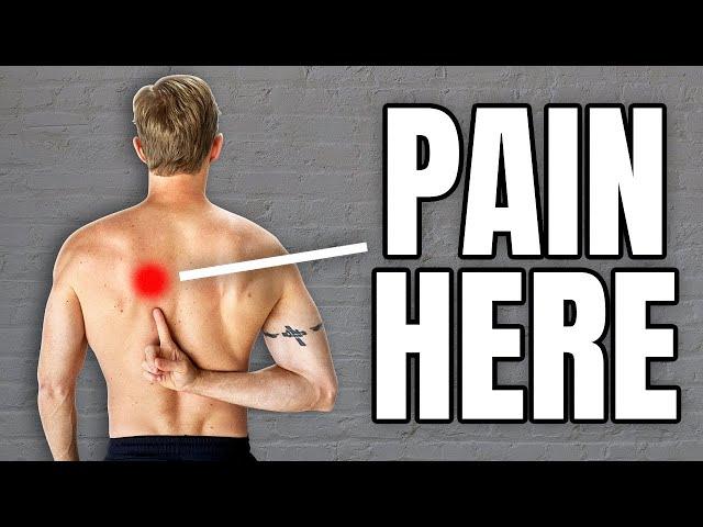 Mid Back Pain Exercises (Thoracic Joints, Rhomboids, Ribs)