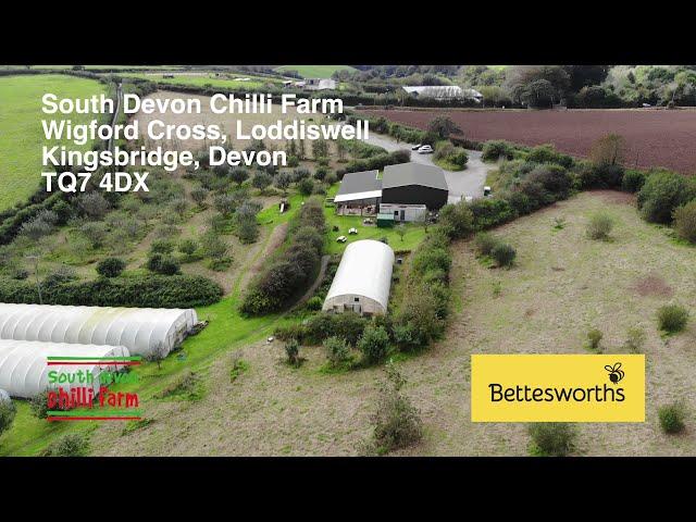 South Devon Chilli Farm, Wigford Cross, Loddiswell, Kingsbridge, Devon TQ7 4DX