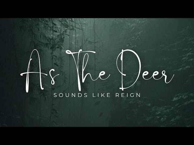 As The Deer | Sounds Like Reign (lyric and scenery)