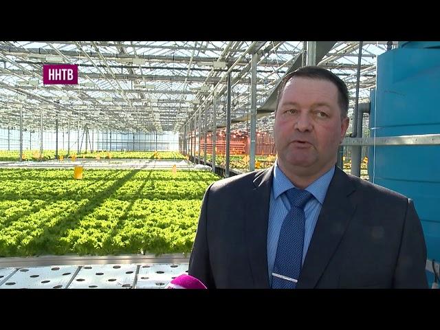 Разработка стратегии развития Нижегородской области до 2035 года