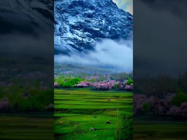  Skardu Valley Gilgit Baltistan Pakistan #ytshorts #shortvideo #youtube #youtubeshorts