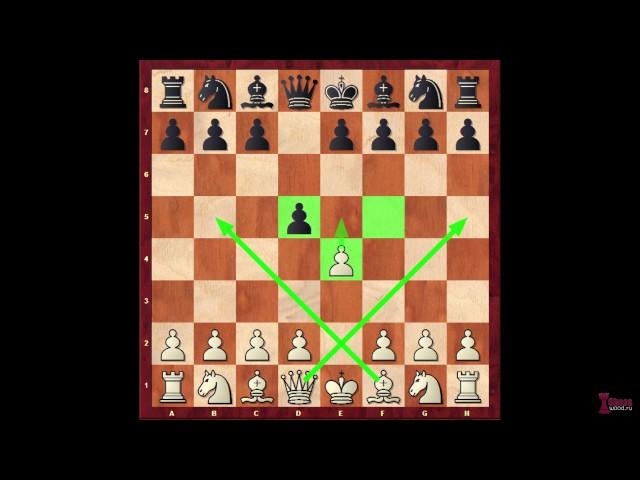 Три правила дебюта в шахматах