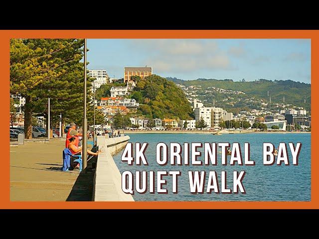 Oriental Bay Wellington 4K Quiet Walk