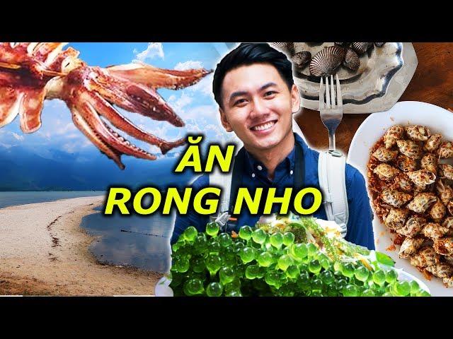 DU LỊCH HUẾ: Eating Seafood at The Most Beautiful Bay in Vietnam| Hue Travel