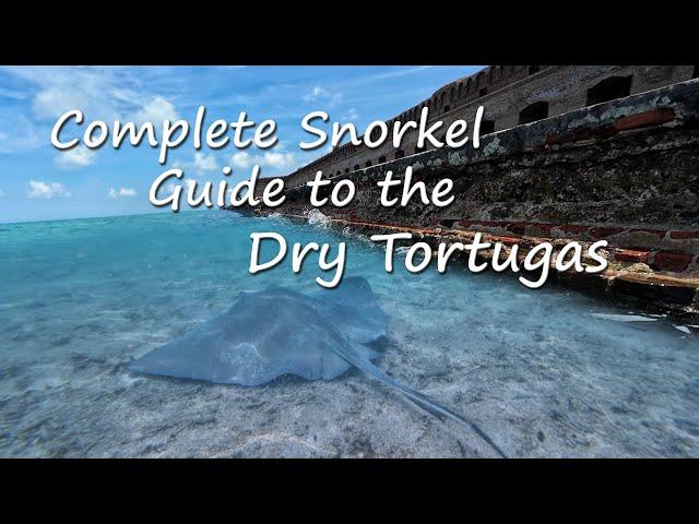 Snorkel guide to the Dry Tortugas