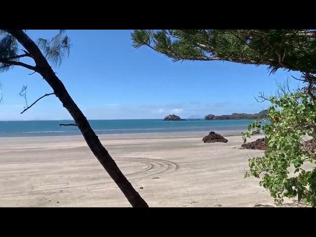 Cape Hillsborough Nature Tourist Park