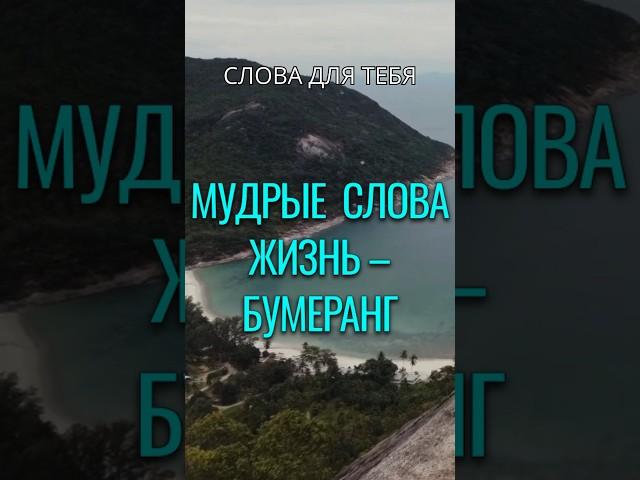 Мудрые Слова | Жизнь – Бумеранг... | Мудрые Мысли #цитаты #мудрость #жизнь #вдохновение #стихи