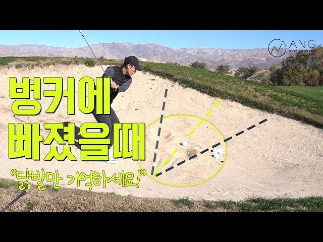 안성현 프로 골프레슨│벙커에 들어갔을때, 벙커탈출 하는 기본기