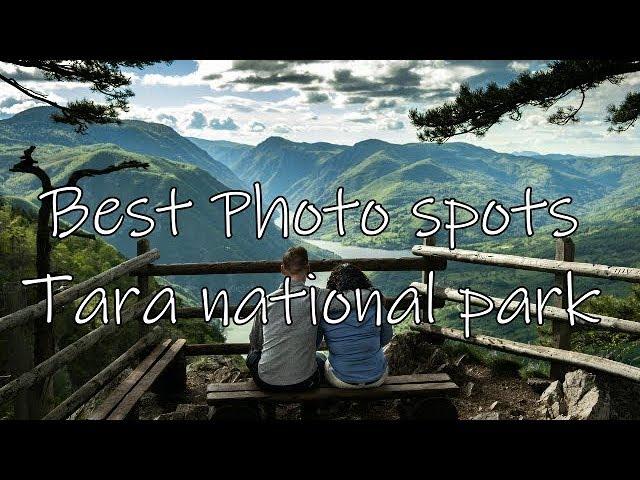 Serbia Tara national park Best photo spots Montenegro express train