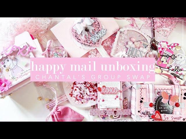 Chantal's Pink Memorydex Group Swap Unboxing 