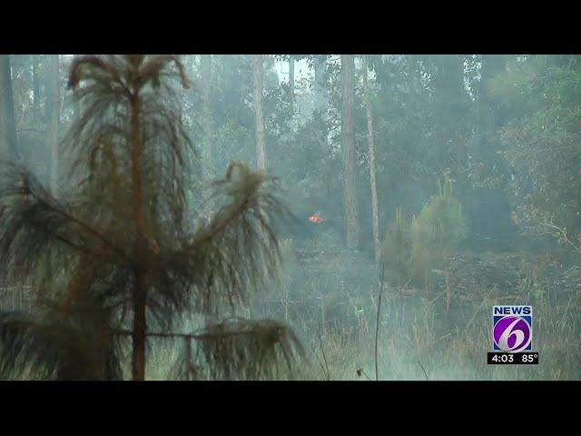 Officials investigate Central Florida brush fires