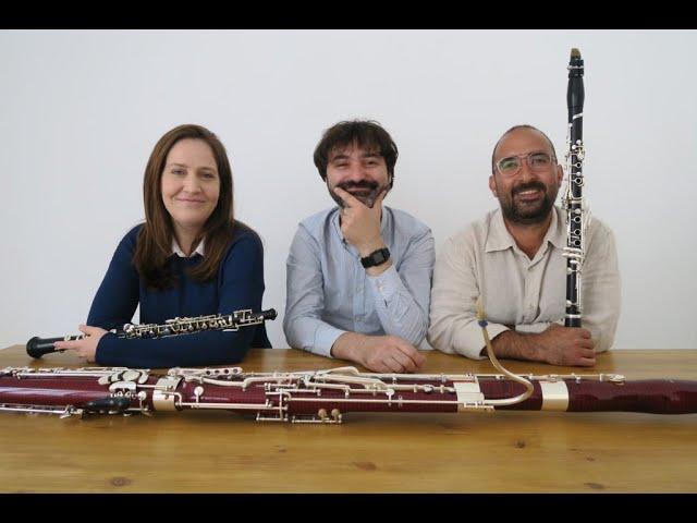 VIAF 2021 – MPO Ensemble:  Trio Rumore – 05/07/21