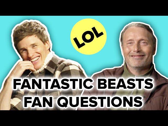 The Cast of Fantastic Beasts Answers Fan Questions