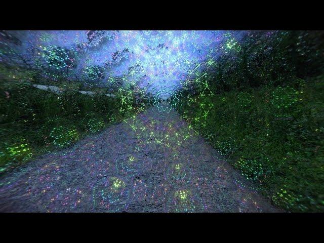 High Dose SHROOMS Trip Simulation (POV)