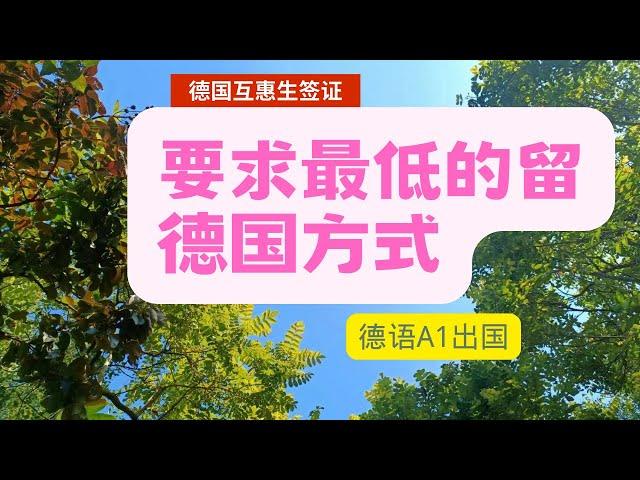 最简单，要求最低，最低费用的留德方式/德国互惠生/Aupair(一年签证）