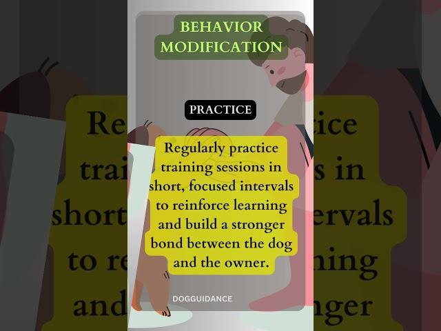 Effective Dog Training Techniques for Behavior Modification #barkingoncommand #pets #yourdog