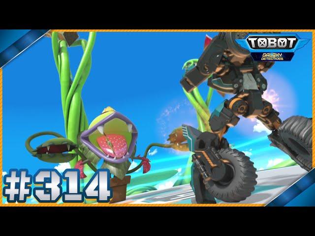 Mateo and the Beanstalk | Tobot Galaxy Detective Season 3 EP.14 | Tobot Galaxy English