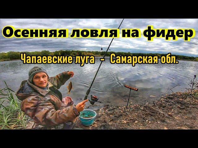 РЫБАЛКА НА ФИДЕР ОСЕНЬЮ/ ЛОВЛЯ ПЛОТВЫ/ЧАПАЕВСКИЕ ЛУГА, САМАРСКОЙ ОБЛАСТИ/ОСЕННЯЯ РЫБАЛКА/ПЛОТВА