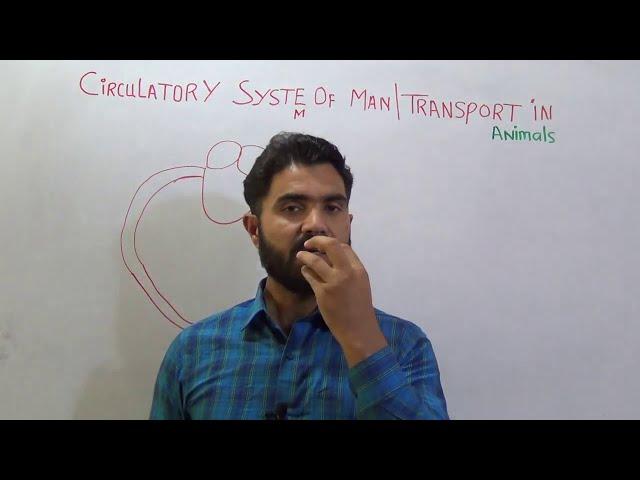 Circulatory System of Man Introduction and brief summary  Part 1 Biology 1