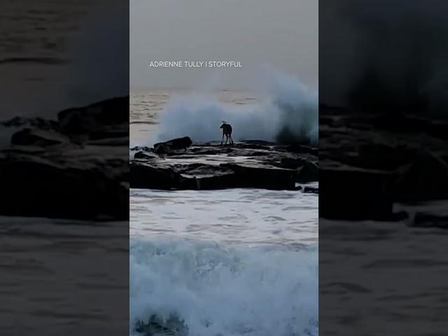 Surfer saves deer after it got stranded on rocks amid rough tide along Jersey Shore