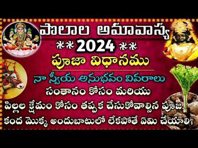 Polala Amavasya Pooja in Telugu | Shravana Amavasya pooja 2024 | polala Amavasya pooja vidhanam