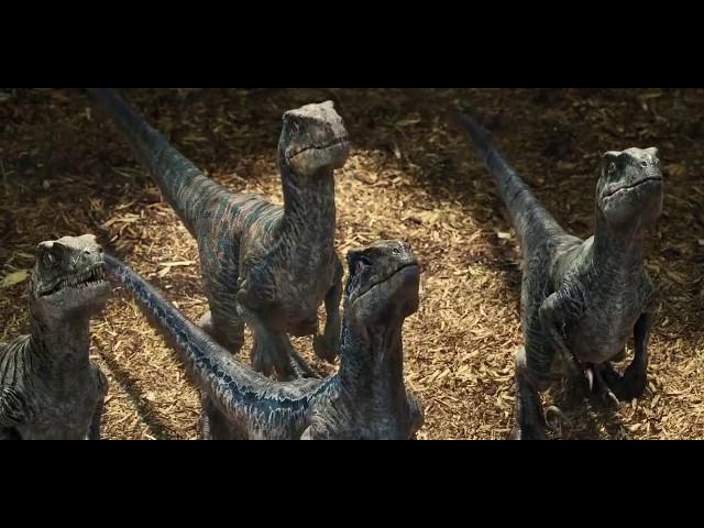 Owen Feeds Dinosaurs Blue, Charlie, Delta and Echo - Jurassic World ( 2015 )