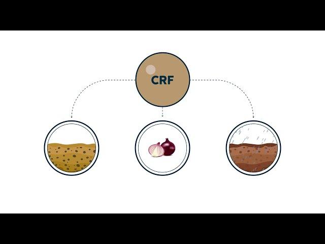 Controlled Release Fertilizers: Reliable, Lasting, & Sustainable Crop Nutrition